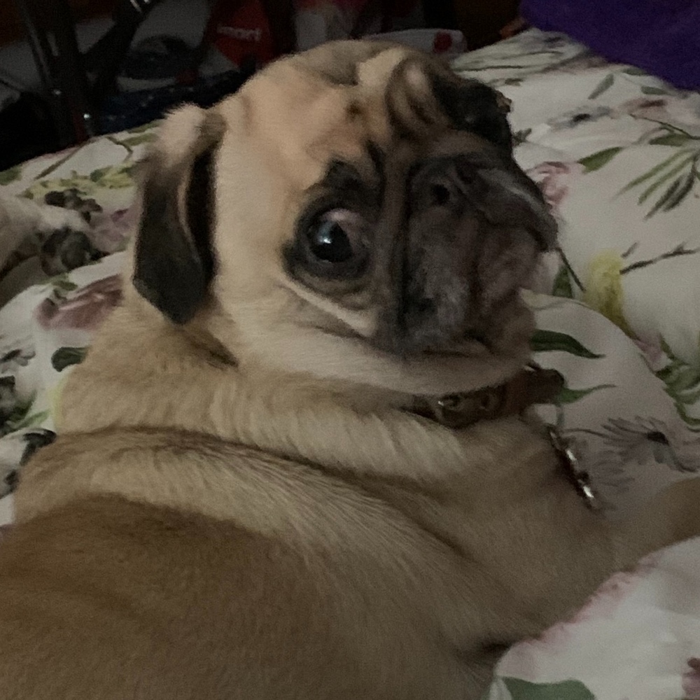 Meet your Posher, Ms.